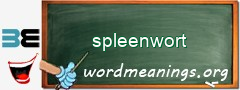 WordMeaning blackboard for spleenwort